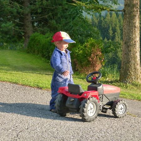 Ferienwohnungen Bachergut Mariapfarr Camera foto