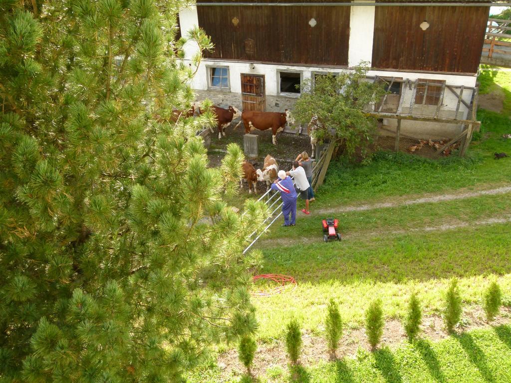 Ferienwohnungen Bachergut Mariapfarr Camera foto